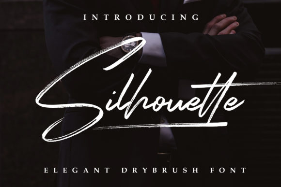 Silhouette Elegant: A Stylish Script for Branding